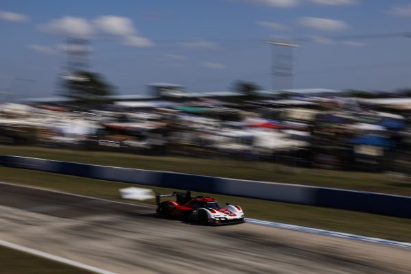 Cup Series Article One